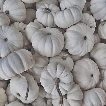 Artwork thumbnail, Elegant White Pumpkins by OneDayArt