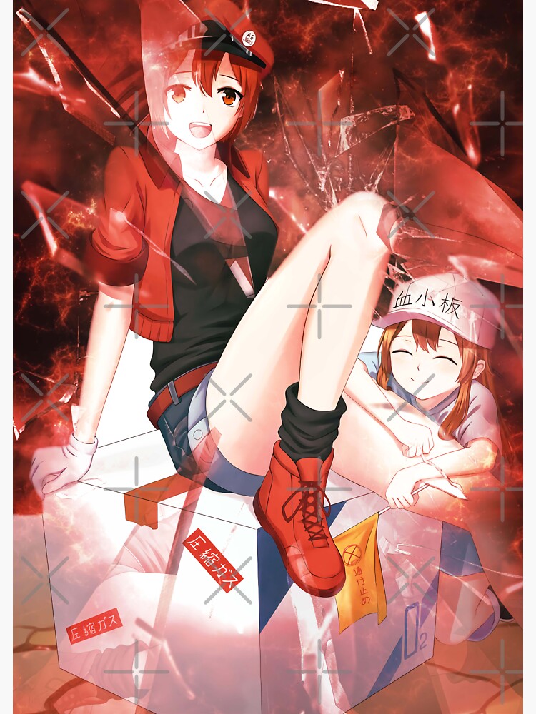 Cells at Work! Big Wall Scroll: Red Blood Cell