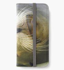 Sleepy Californian Sealion iPhone Wallet/Case/Skin