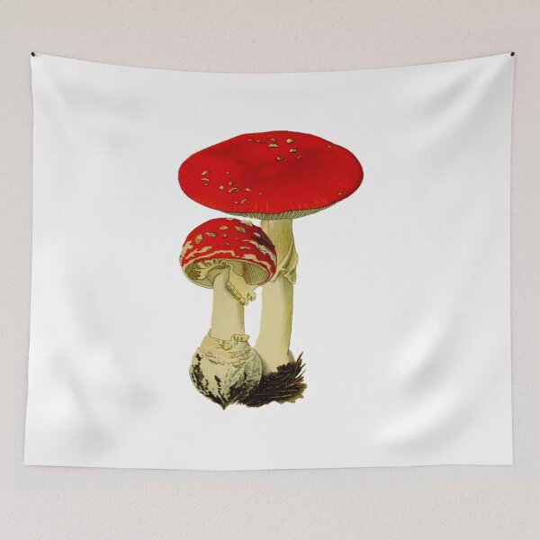 Item preview,  Amanita Muscaria Mushroom designed and sold by obviouslogic.