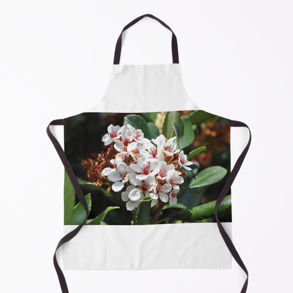 Item preview, Bunch of White Indian Hawthorn Flowers designed and sold by IPPhotography.