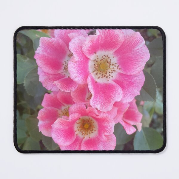 Item preview, Rambling Rose designed and sold by DJ GO.