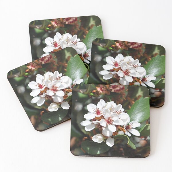 Item preview, White and pink Indan Hawthorn Flowers designed and sold by IPPhotography.