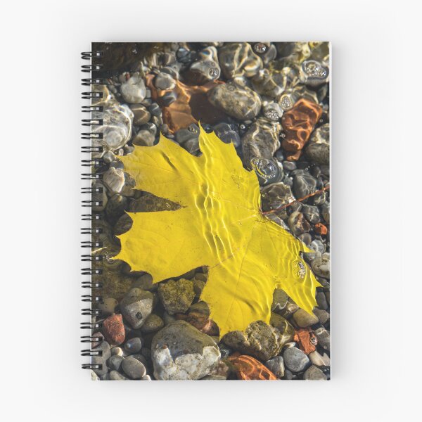 Item preview, Bold Yellow Maple Leaf and Mercurial Sunlight Patterns designed and sold by Georgia Mizuleva.