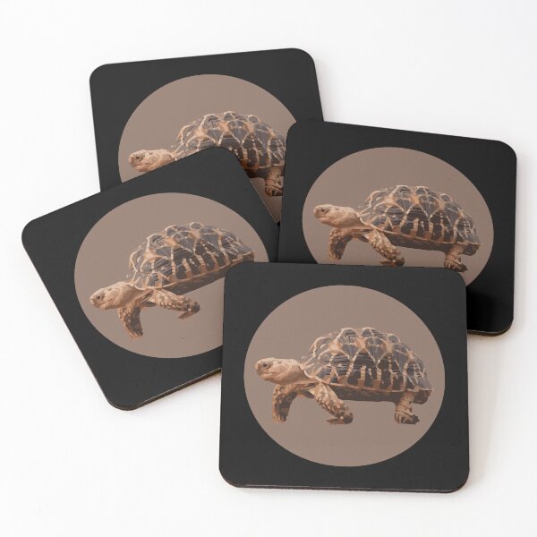 Item preview, Tortoise designed and sold by Corner-Distro.