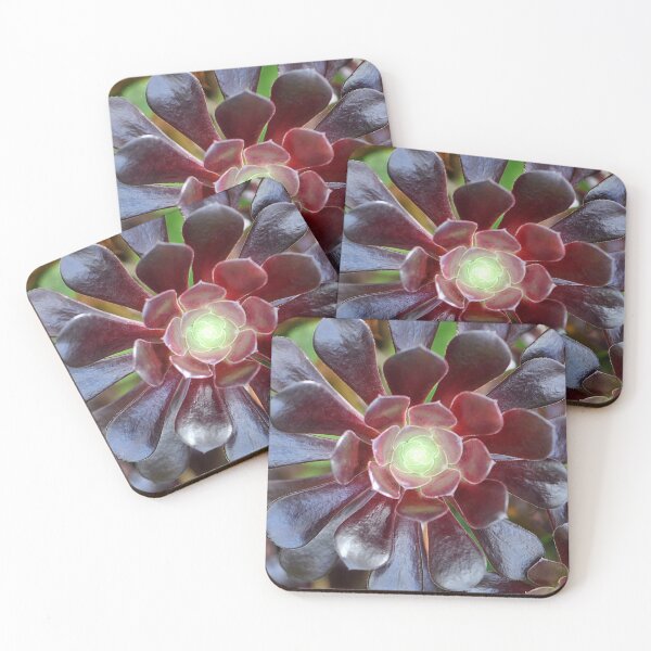 Item preview, Black Rose Succulent cactus designed and sold by IPPhotography.