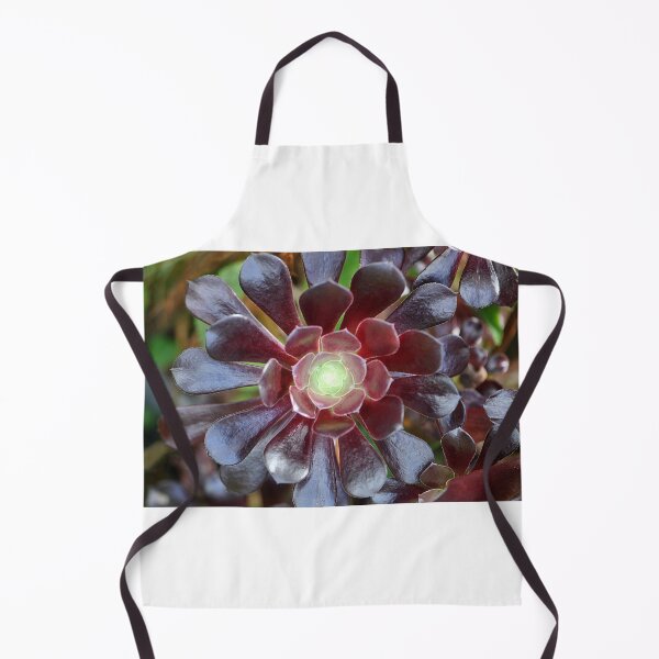 Item preview, Cactus suculento rosa negra designed and sold by IPPhotography.