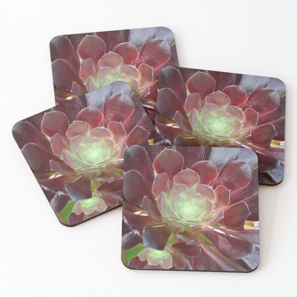 Item preview, Black Succulent Plant designed and sold by IPPhotography.