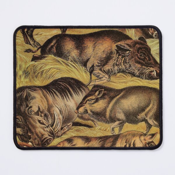 Item preview, Babyroussa - Wild Boar - Wart Hog - Domestic Hog - Vintage Chromolithograph by Hugh Craig Painting Animal Lover Gift designed and sold by ElegantTeaTime.