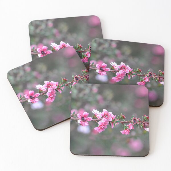 Item preview, Broom Tea Tree Pretty Pink Flowers designed and sold by IPPhotography.