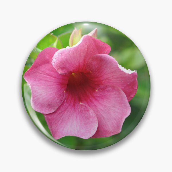Item preview, Purple Allamanda flower designed and sold by IPPhotography.