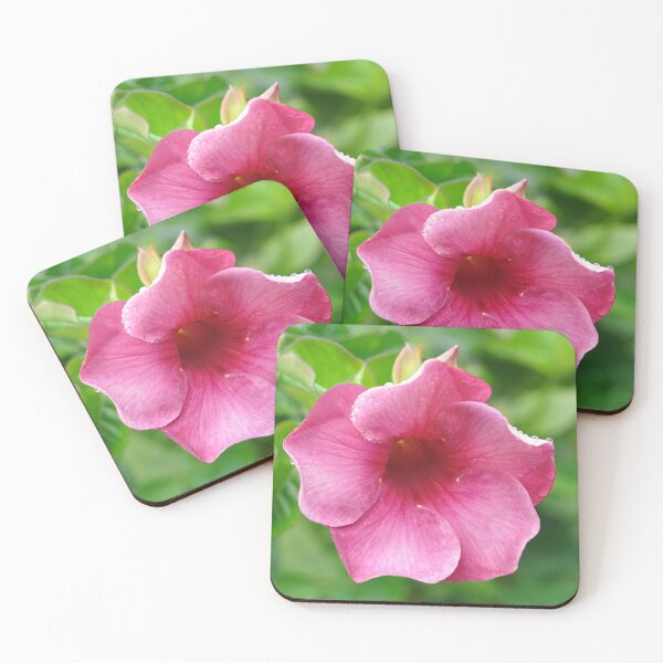 Item preview, Purple Allamanda flower designed and sold by IPPhotography.