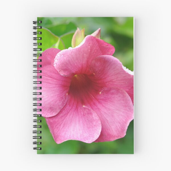 Item preview, Purple Allamanda flower designed and sold by IPPhotography.