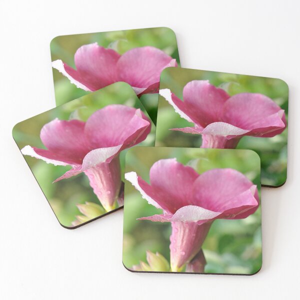 Item preview, Side View Purple Allamanda pink flower designed and sold by IPPhotography.