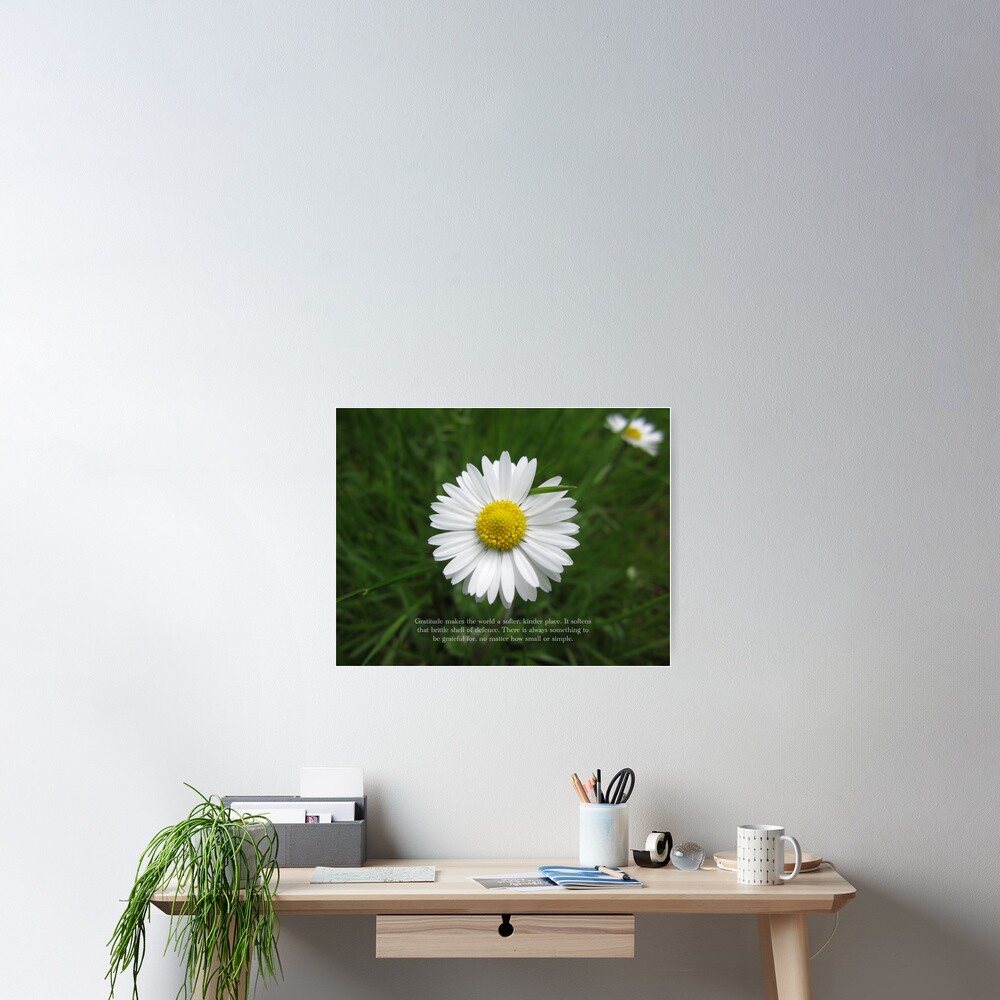 Inspirational Words of Gratitude with Daisy Poster