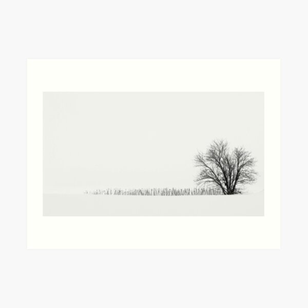 10.3.2018: Lonely Rowan Tree Art Print