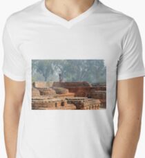 Dharma Chakra Jinavihara 02 Men's V-Neck T-Shirt