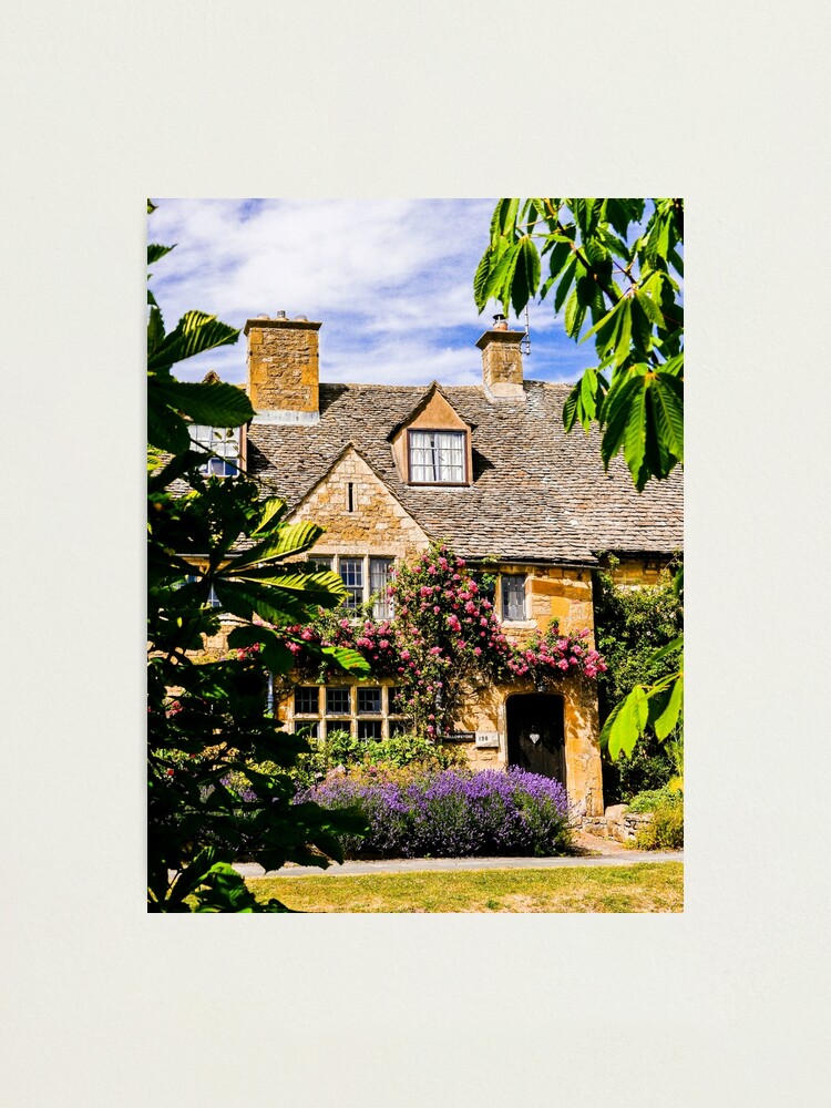 Alternate view of Framed by nature. Photographic Print
