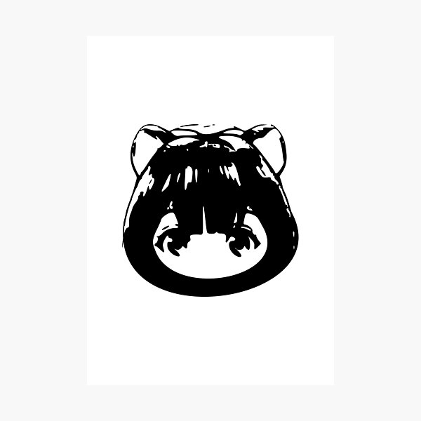 RSH3 D9 The Rising of the Shield Hero Tate no Yuusha no Nariagari Season 3  anime characters icons Cute Raccoon Baby Raphtalia Head vector gifts for  otaku October 2023 Sticker for Sale