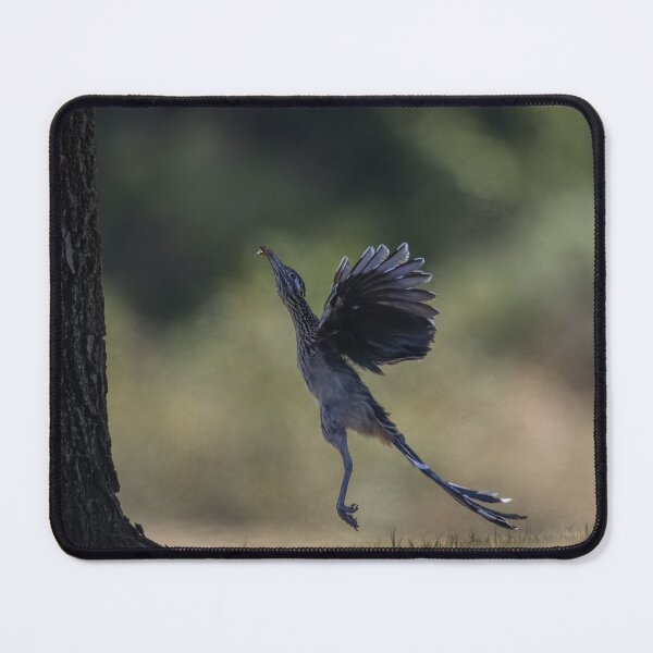 Item preview, Feeding time for Road runner designed and sold by Puttaswamy Ravishankar.