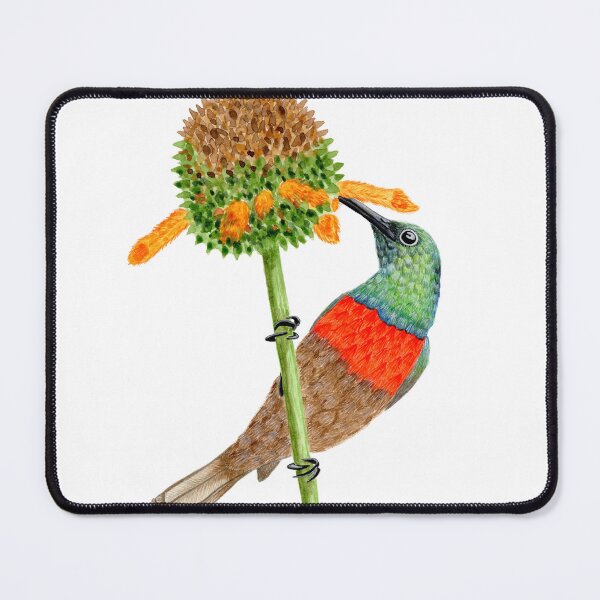Item preview, Greater Double-Collared Sunbird designed and sold by CaritaH.