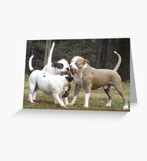 It's MY Rope! Greeting Card
