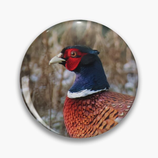 Item preview, Winter pheasant designed and sold by WildEncounters.
