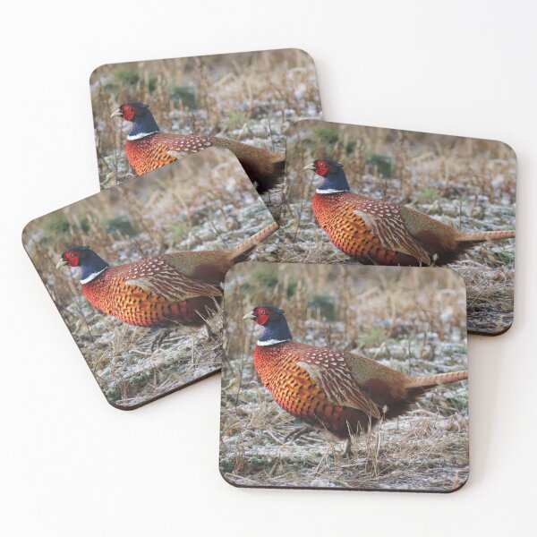 Item preview, Winter pheasant designed and sold by WildEncounters.