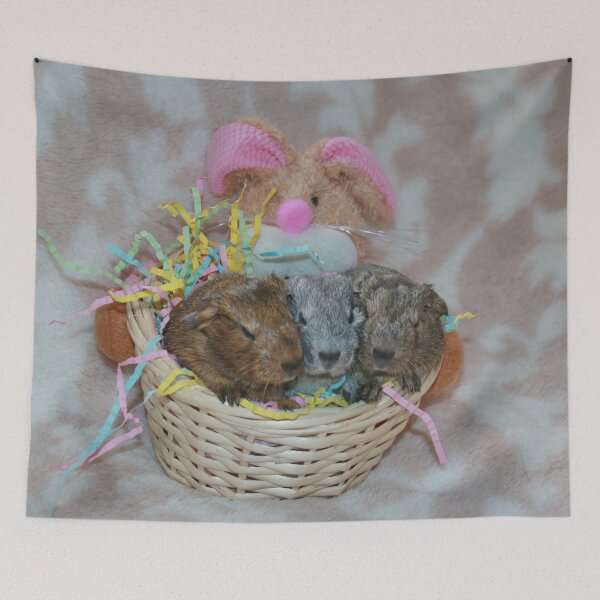 Item preview, Triplets Born March 5th designed and sold by AnnDixon.