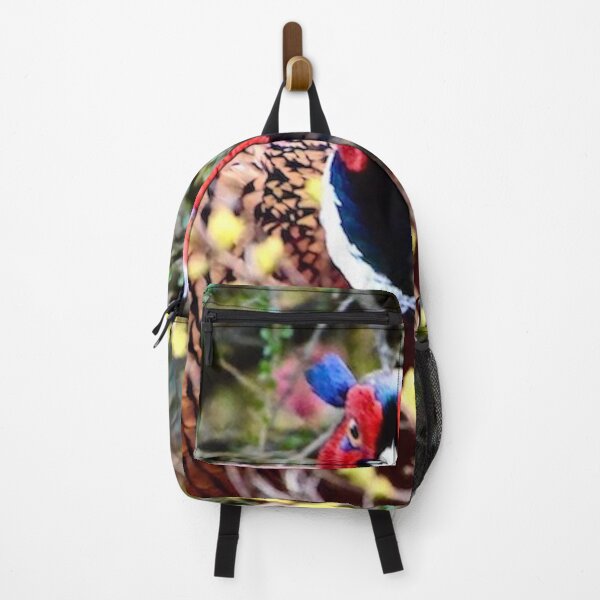 Item preview, Challenging cock pheasant in vivid colours designed and sold by keithmilligan.