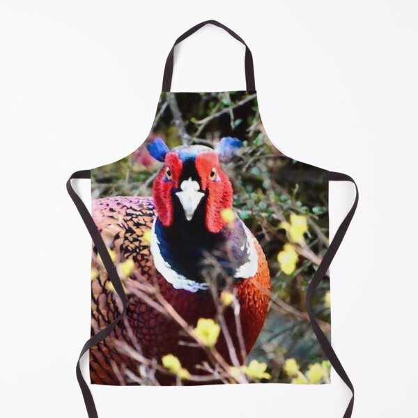 Item preview, Challenging cock pheasant in vivid colours designed and sold by keithmilligan.