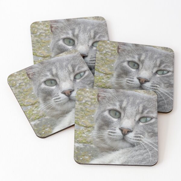 Item preview, Cat water green eyes designed and sold by Tiare-Pichines.