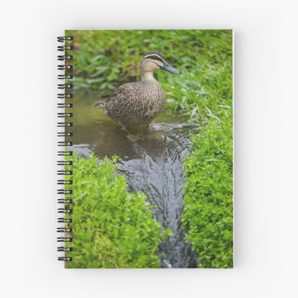 Item preview, Stream Duck designed and sold by Jade Welch.