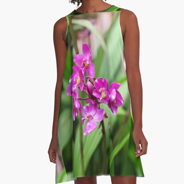 Singapore orchid - national flower A-Line Dress