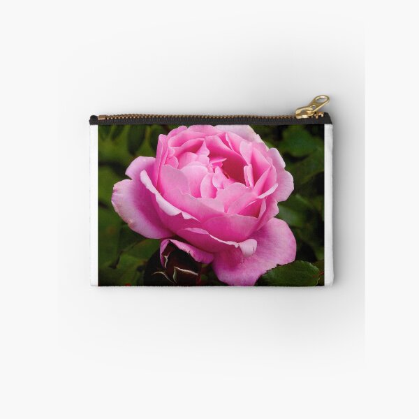 Item preview, Unidentified Beauty. Pioneers Park, Berwick, Australia. (#1). designed and sold by johnrf.