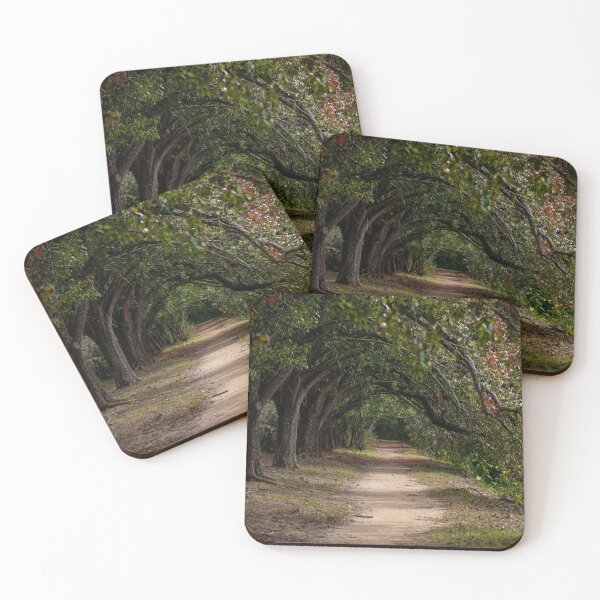 Item preview, The Journey Ahead designed and sold by DShaverPhotos.