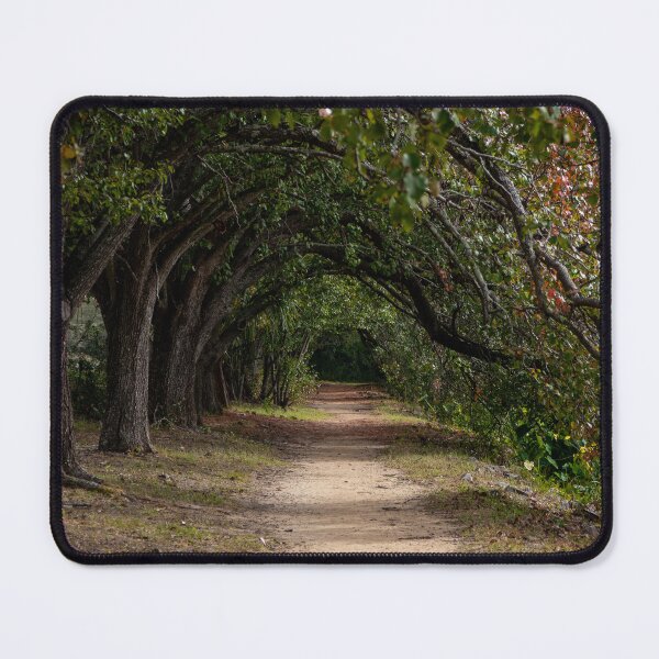 Item preview, The Journey Ahead designed and sold by DShaverPhotos.