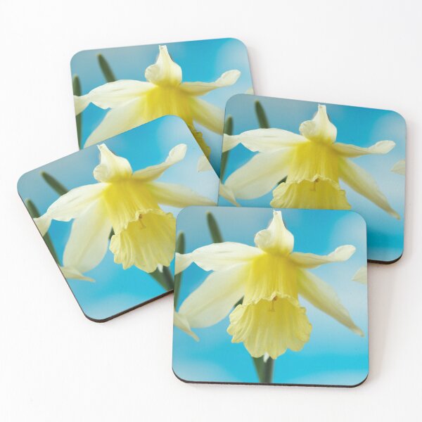 Item preview, Narcissus  'W.P. Milner'   Division 1  Trumpet  Daffodil  designed and sold by Chris Burrows.