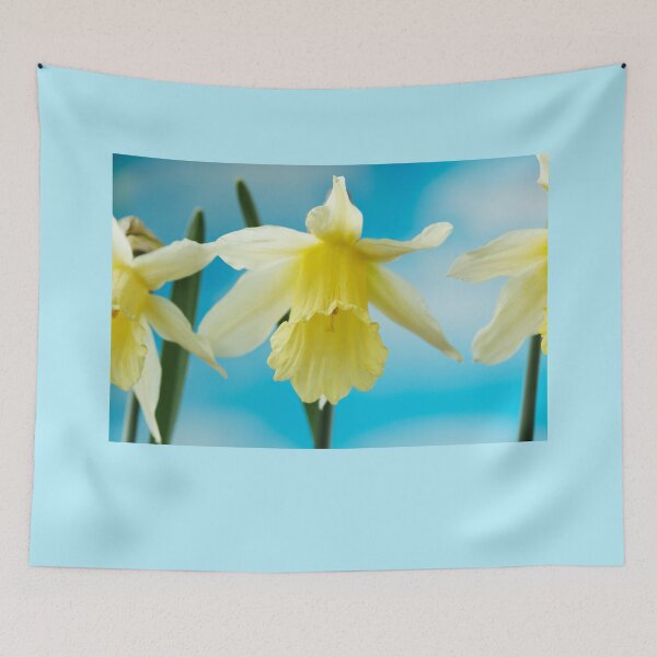 Item preview, Narcissus  'W.P. Milner'   Division 1  Trumpet  Daffodil  designed and sold by Chris Burrows.