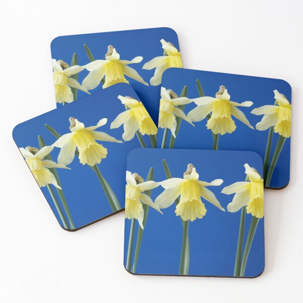 Item preview, Narcissus  'W.P. Milner'   Division 1  Trumpet  Daffodil  designed and sold by Chris Burrows.