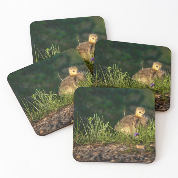 Item preview, Dramatic Duckling designed and sold by DShaverPhotos.