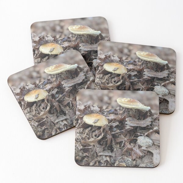 Item preview, Foragers Dream  designed and sold by TheRealDanniX.