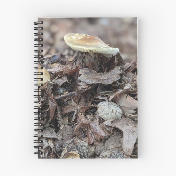 Item preview, Foragers Dream  designed and sold by TheRealDanniX.