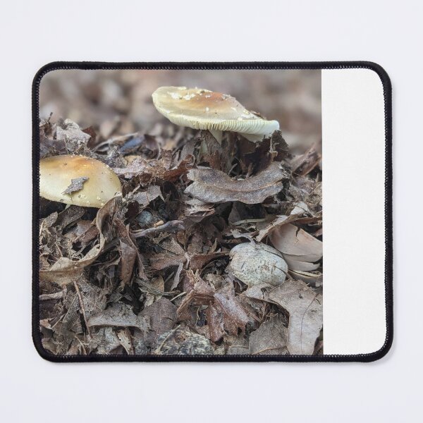 Item preview, Foragers Dream  designed and sold by TheRealDanniX.