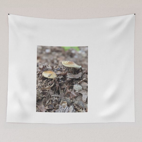 Item preview, Foragers Dream  designed and sold by TheRealDanniX.
