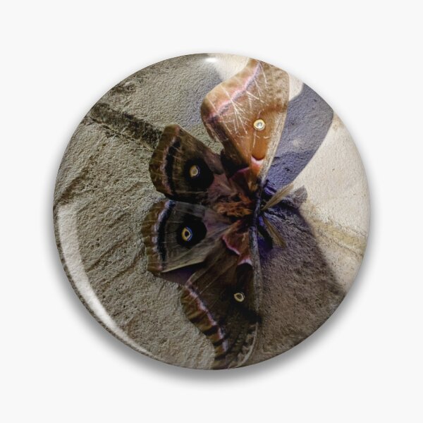 Item preview, A Morning Visitor designed and sold by TheRealDanniX.