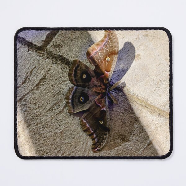 Item preview, A Morning Visitor designed and sold by TheRealDanniX.
