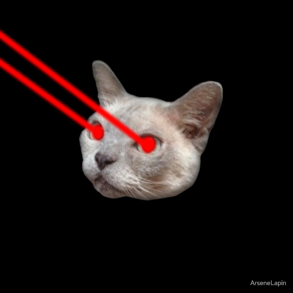 cat laser light