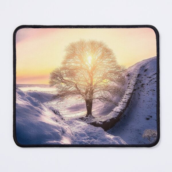Item preview, Winter Sycamore Gap Art designed and sold by Harsh  Katariya.