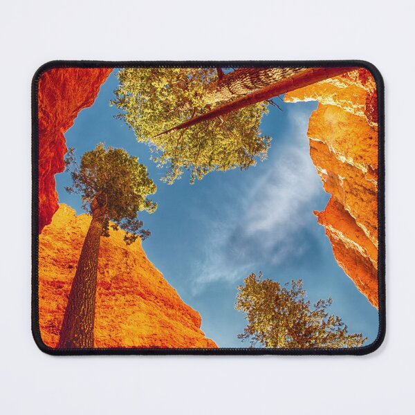 Item preview, Vertical View of Trees and Cliffs in Bryce, Utah designed and sold by KellyHeaton.